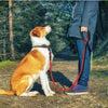 Reflective Nylon Dog Training Leash
