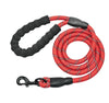 Reflective Nylon Dog Training Leash