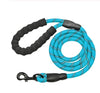 Reflective Nylon Dog Training Leash