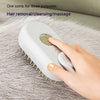 Electric Steam Cat Grooming Brush