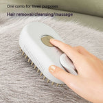 Electric Steam Cat Grooming Brush
