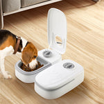 Automatic Gravity Pet Feeder