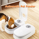Automatic Gravity Pet Feeder