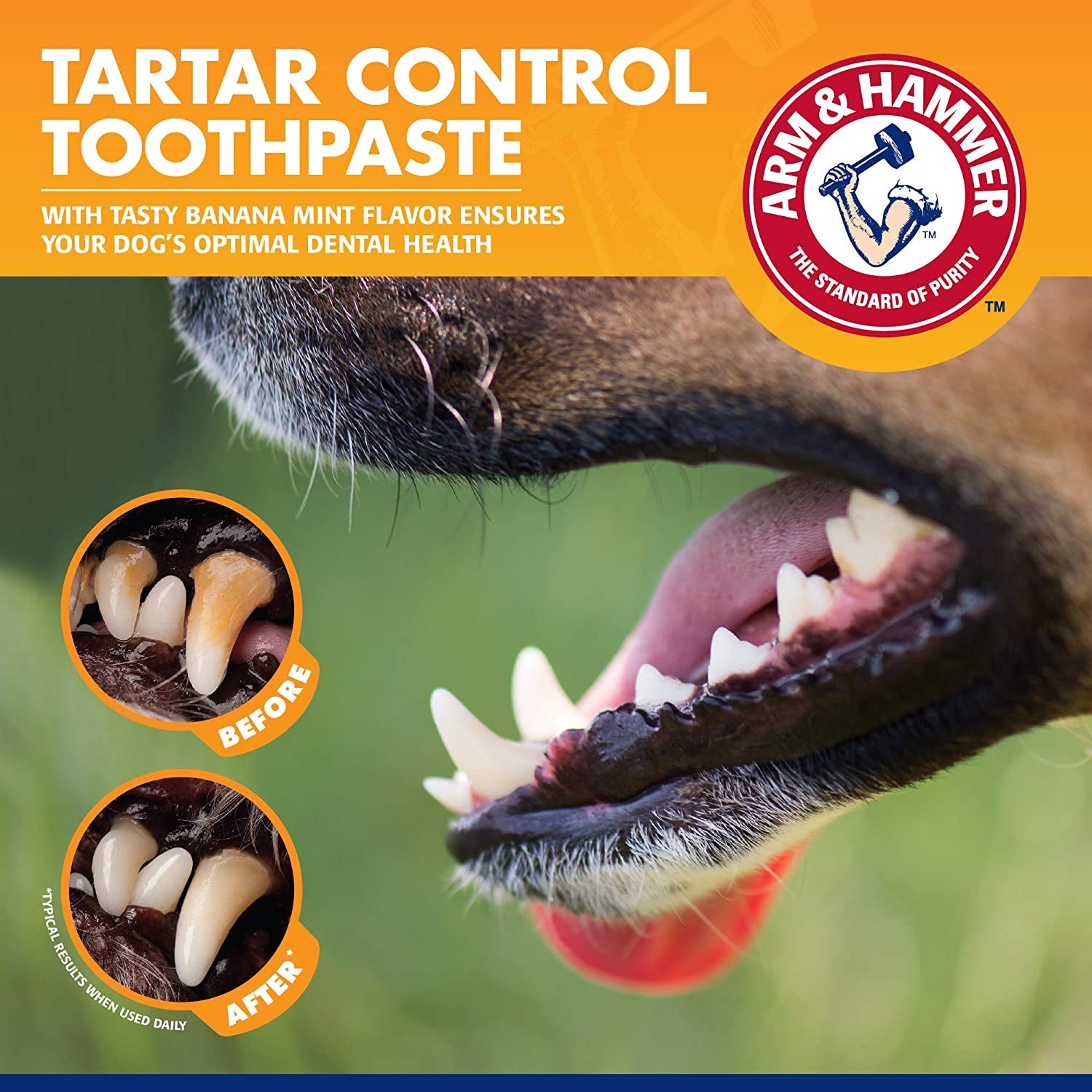 - Dog Toothbrush, Toothpaste Kit, Banana Mint, 2.5 Oz