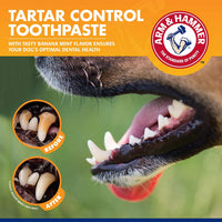 - Dog Toothbrush, Toothpaste Kit, Banana Mint, 2.5 Oz