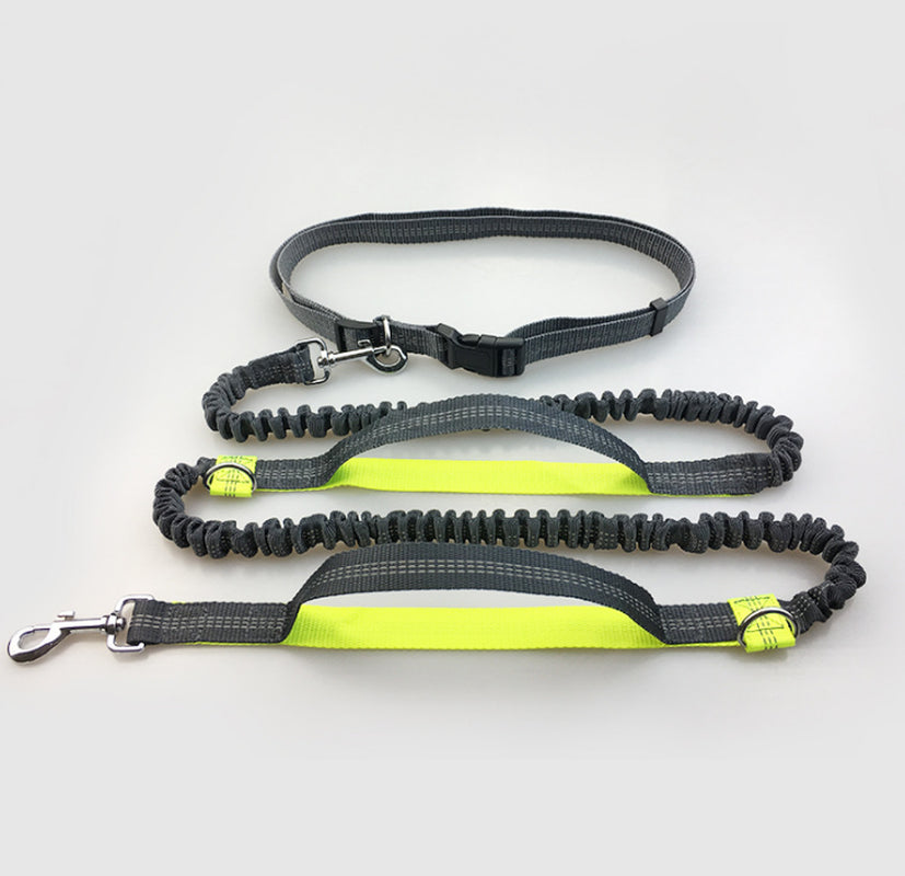 Amazon Direct Pet Supplies Multi-Function Running Reflective Pull Dog Leash Double Elastic Dog Leash Traction