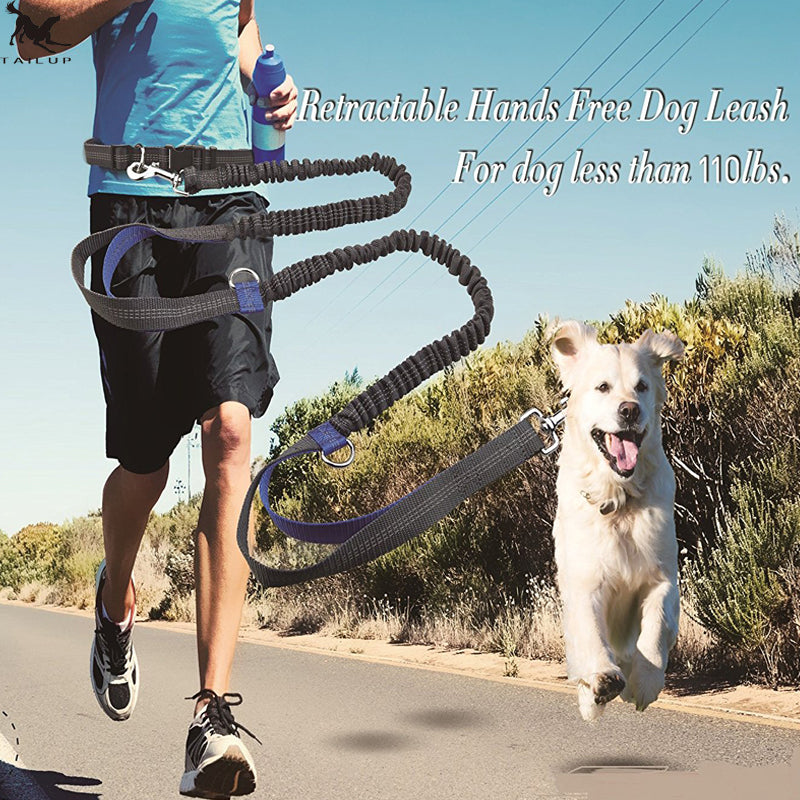 Amazon Direct Pet Supplies Multi-Function Running Reflective Pull Dog Leash Double Elastic Dog Leash Traction