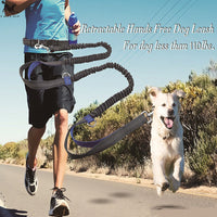 Amazon Direct Pet Supplies Multi-Function Running Reflective Pull Dog Leash Double Elastic Dog Leash Traction